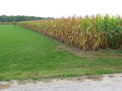 Property photo 7 - Real Estate Auction - 31+/- Acres Offered in 3 Tracts Including a 3-Bedroom Home